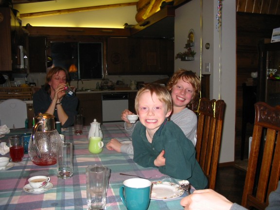 576x432 pixels (62K)